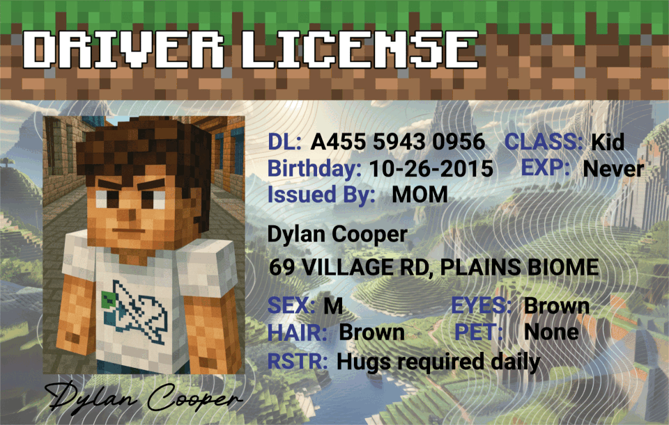 Custom Minecraft Driver License - Metal Card