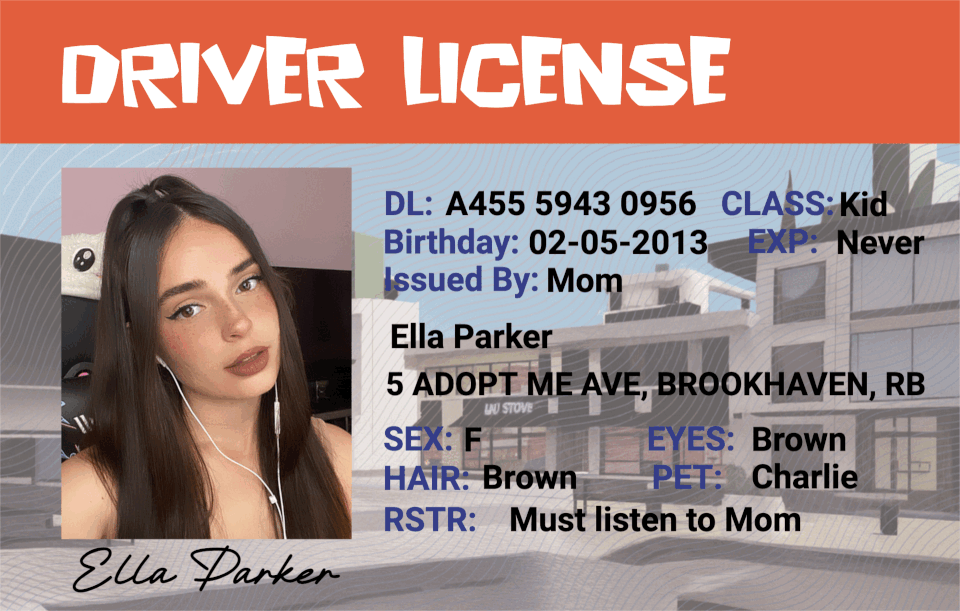 Custom Roblox-Inspired Driver License Metal Card