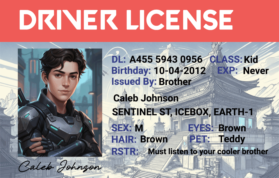 Custom Valorant Driver License - Metal Card
