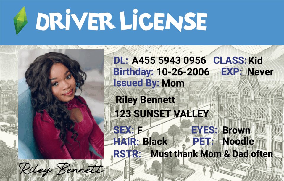 Custom The Sims Driver License - Metal Card